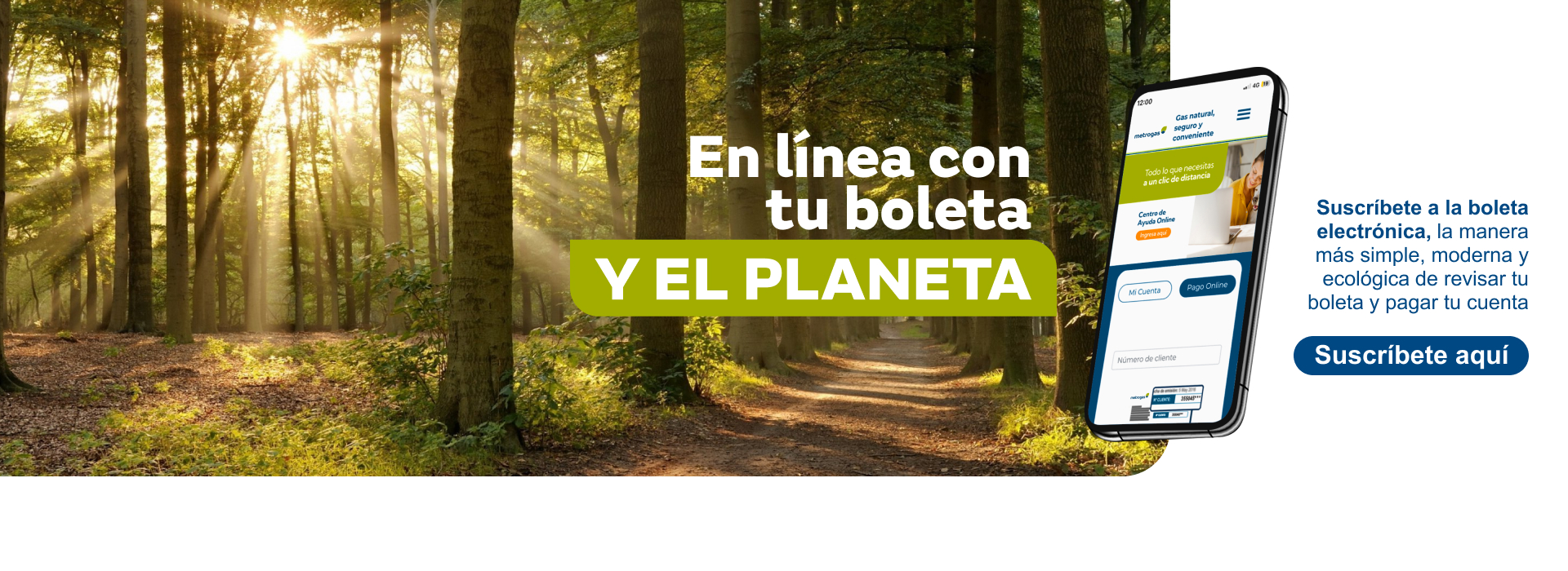 boleta electronica, suscribete
